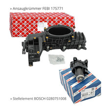 Intake Manifold + Swirl Flap