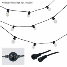 LEDJ ES Festoon 50m Length 1m