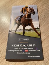 Curragh, 7th June 2023, Diego