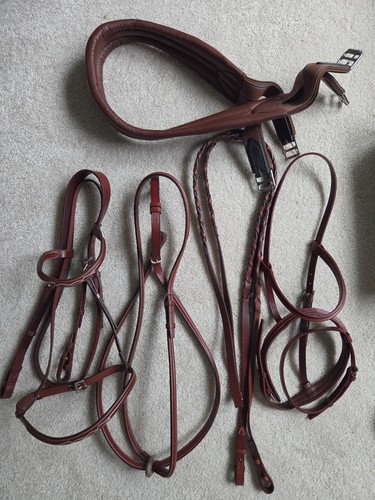 Hunter jumper stubben - stubben, bridle