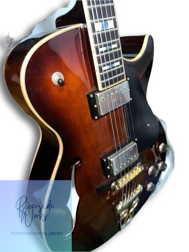 Ibanez electric guitar full - ibanez,