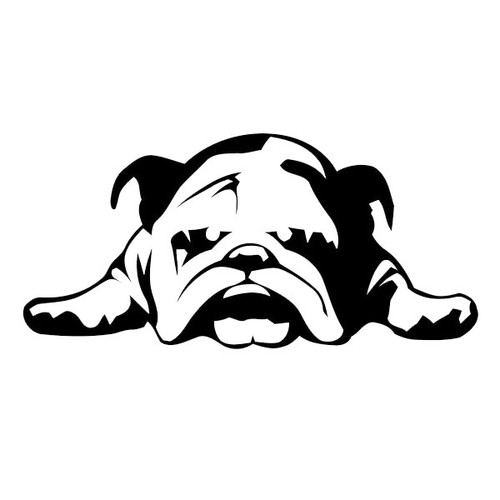 Lazy british bulldog - bulldog, vinyl