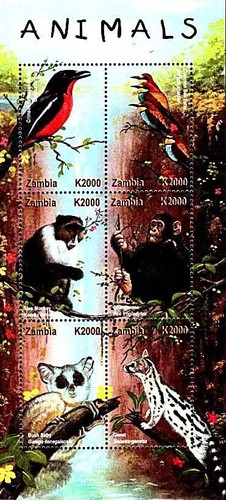 Zambia 2001 birds animals - &,