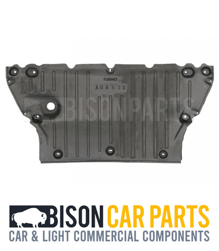 Undertray under engine - engine, cover