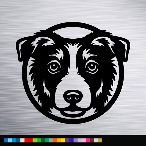 Border collie dog - collie,