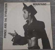 Prince and the Revolution -