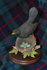 Country Artists Blackbird with nest