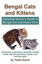 Bengal Cats and Kittens