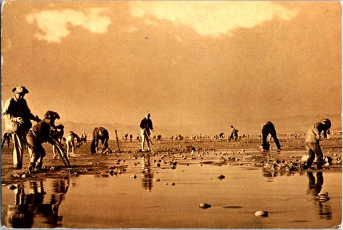 Pismo beach postcard - beach,