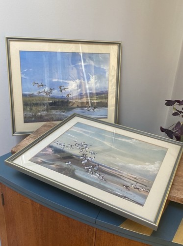Vernon ward prints - duck, &