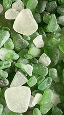 300g very small pieces Green English Sea 
