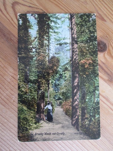 Postcard stradley woods - of,