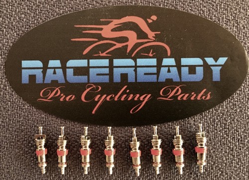 Race ready schrader - 8,