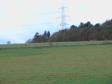 Photo 6x4 Pasture land to the