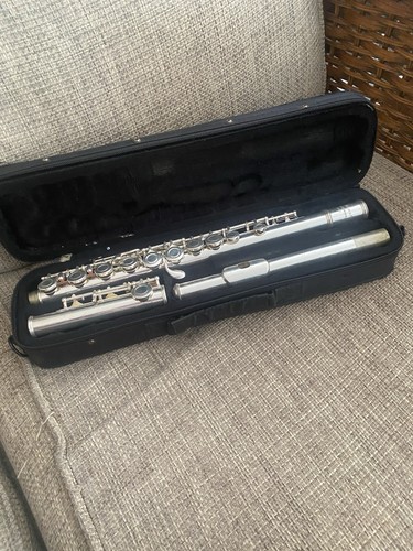 Elkhart 100fle flute carry - 100fle,