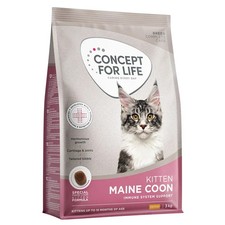 Concept For Life Maine Coon