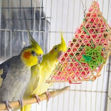  Parrot Toys for Small Parrots