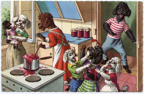 Humanized dog poodles - humanized,