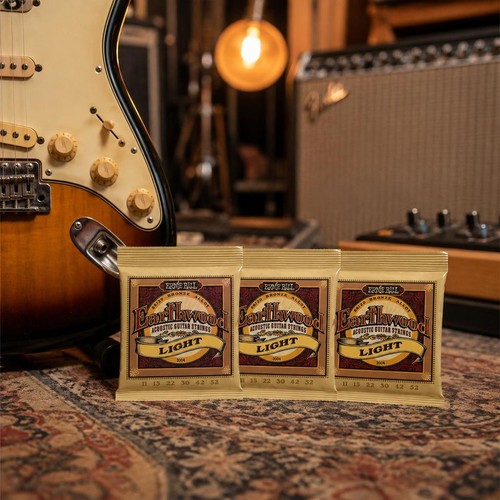 Ernie ball 2004 - ernie, acoustic