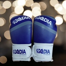 Boxing Gloves Goldia Fitness Blue & White Gift Christmas 10oz