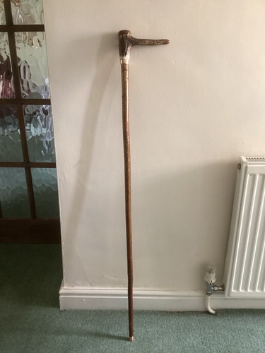 Walking stick hiking pole - walking,