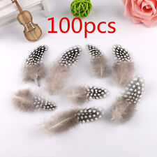 100Pcs Mixed Natural Guinea Fowl Feathers Wedding Craft Art Decoration