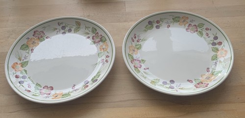 Vintage biltons staffordshire - vintage,