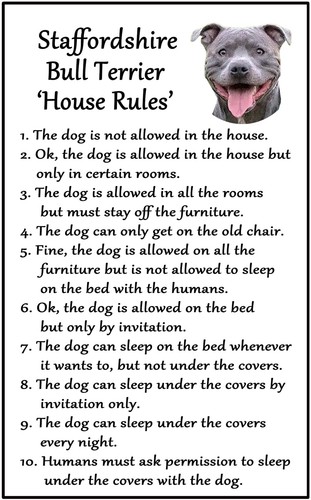 Staffordshire bull terrier - bull,