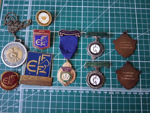 Cats metal badges from - on,