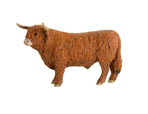 Scottish highland bull - scottish,
