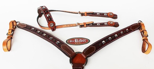Horse show bridle western - show,
