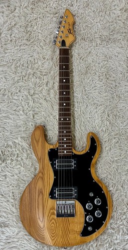 1982 peavey electric - 1982, t-60