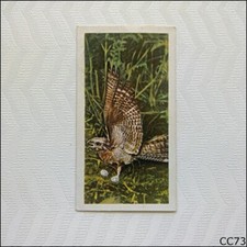 Brooke bond british - birds, #12