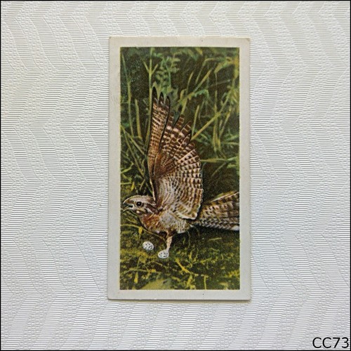 Brooke bond british birds - brooke,