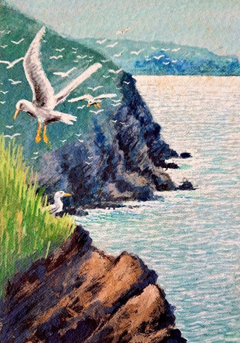 Port isaac harbour cornwall - port,