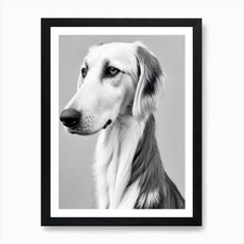 Saluki pencil dog art - pencil,
