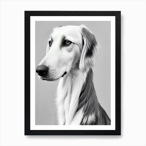 Saluki pencil dog - b&w,