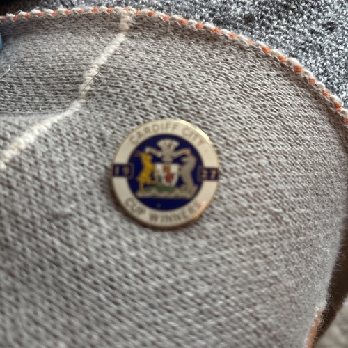 Enamel cardiff city lapel - enamel,