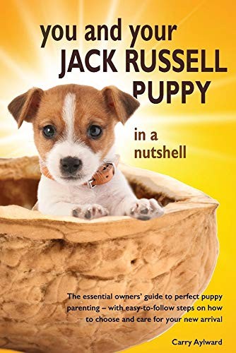 You and your jack russell - you,