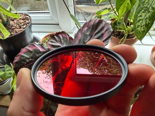 Hoya 62mm red 25a filter - hoya,