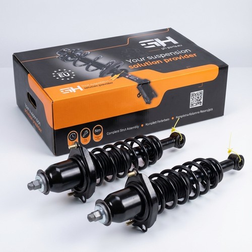 Complete struts assembly - 2x,