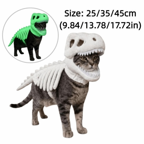 Dinosaur skeleton costume - dinosaur,