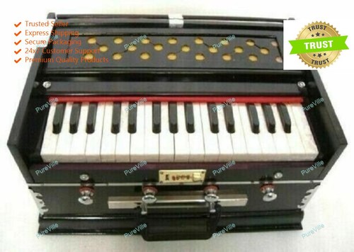 Indian musical instrument - indian,