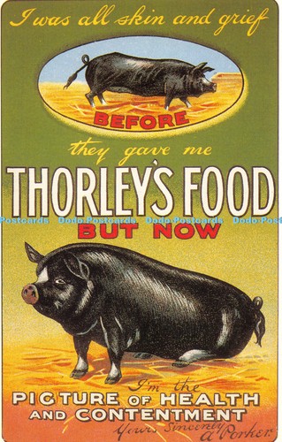 R074239 thorleys food - r074239, but