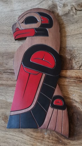 First nations indigenous - first,