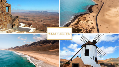 Fuerteventura canary islands - canary,