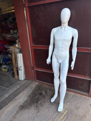 Full body mannequin torso - full,