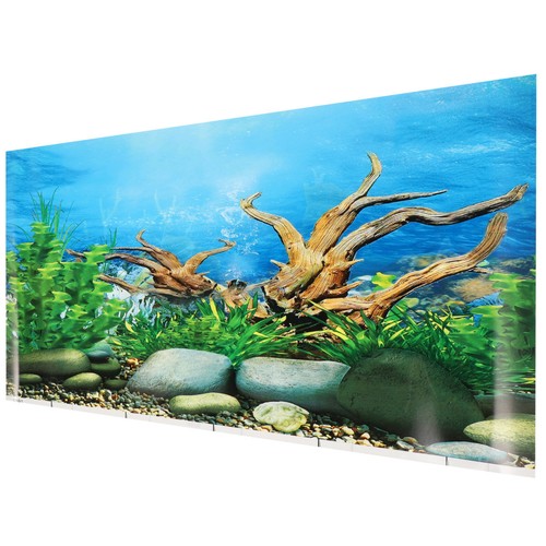 Poster fish tank - poster,
