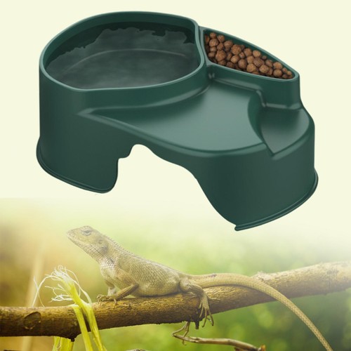 Reptile hide boxes accessories - reptile,