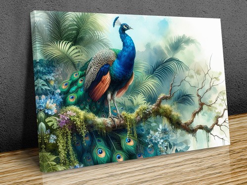 Watercolour peacock artwork - watercolour,